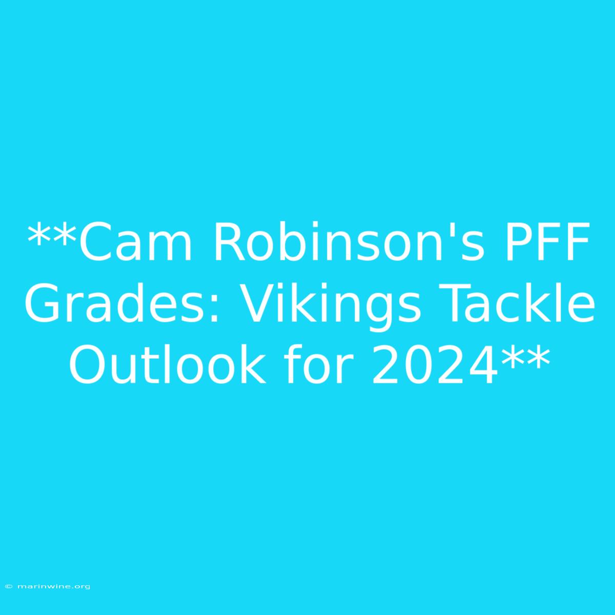 **Cam Robinson's PFF Grades: Vikings Tackle Outlook For 2024**