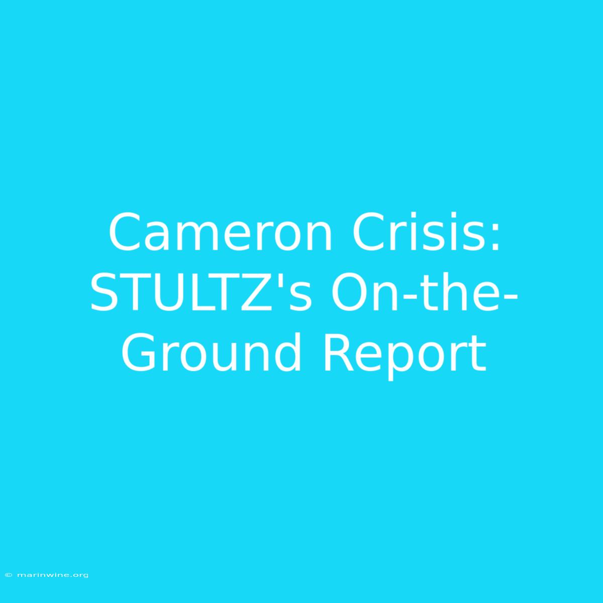 Cameron Crisis: STULTZ's On-the-Ground Report