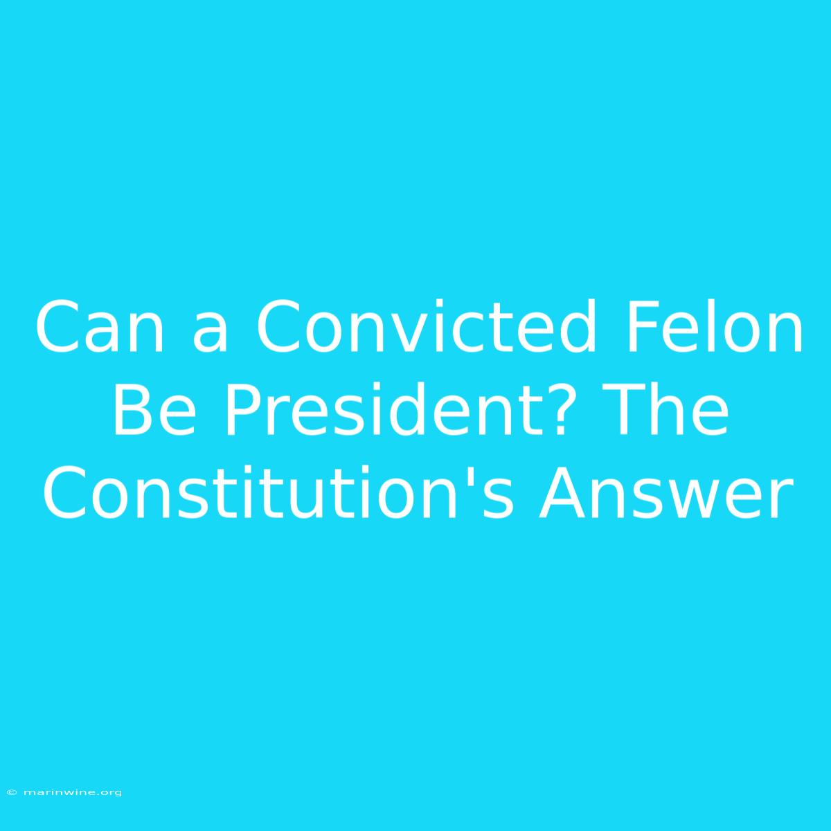 Can A Convicted Felon Be President? The Constitution's Answer