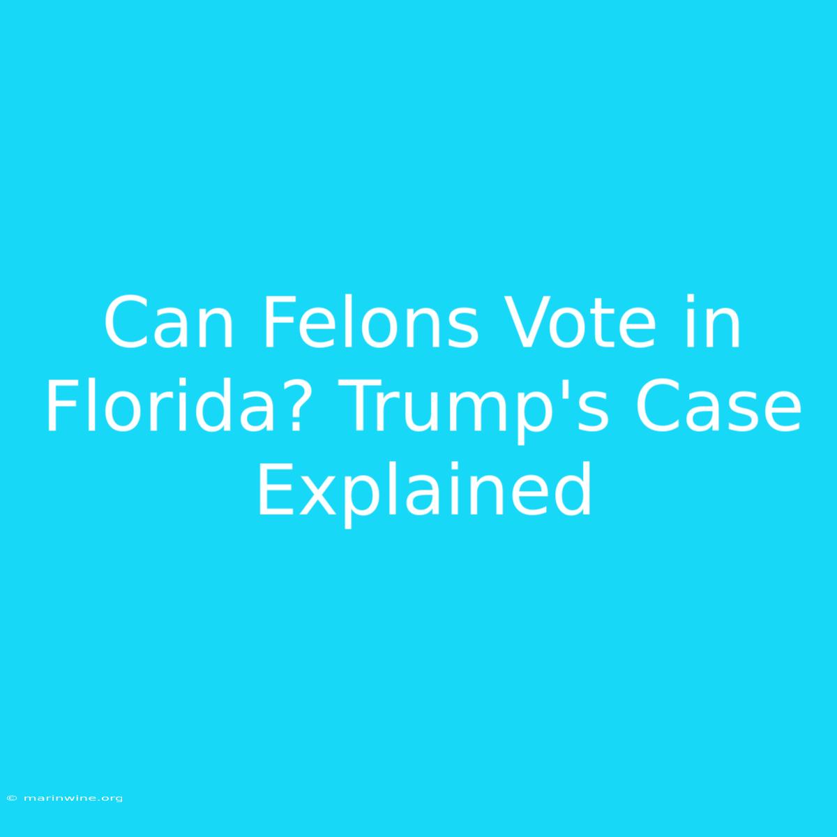 Can Felons Vote In Florida? Trump's Case Explained 