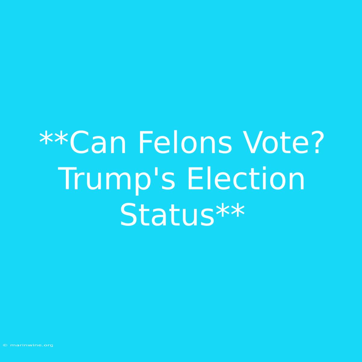 **Can Felons Vote? Trump's Election Status**