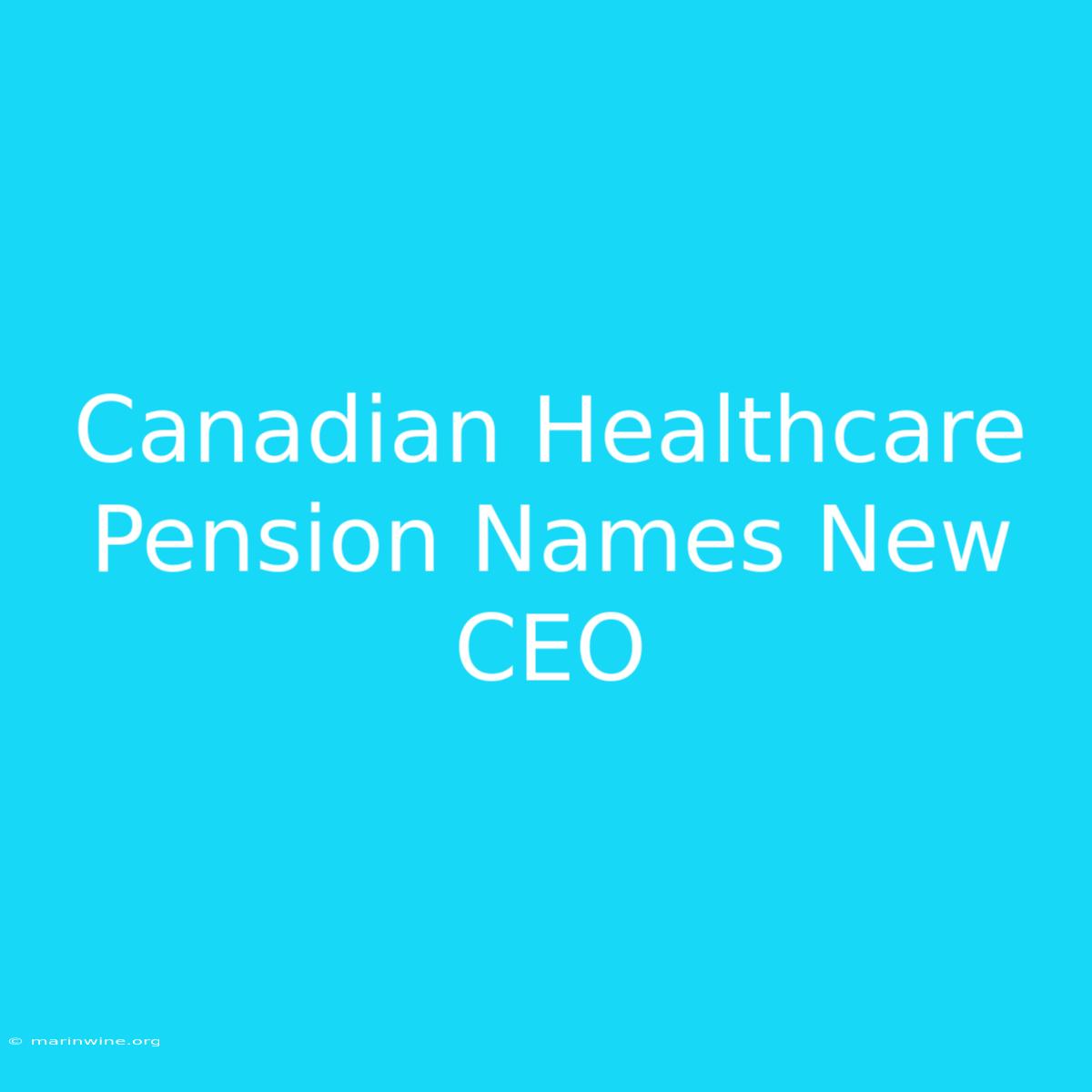 Canadian Healthcare Pension Names New CEO