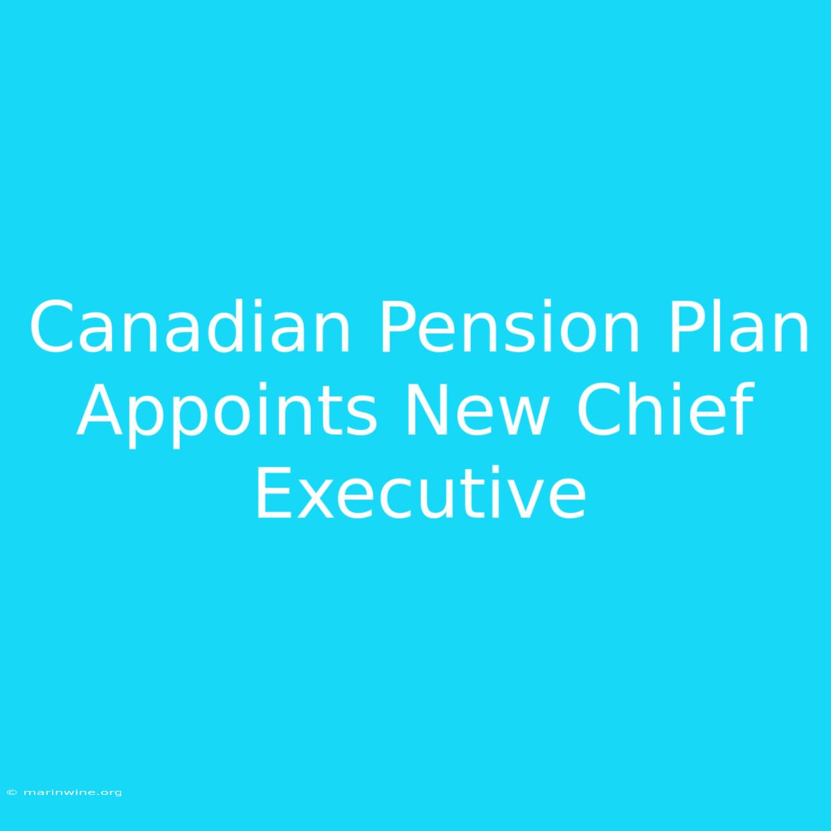 Canadian Pension Plan Appoints New Chief Executive