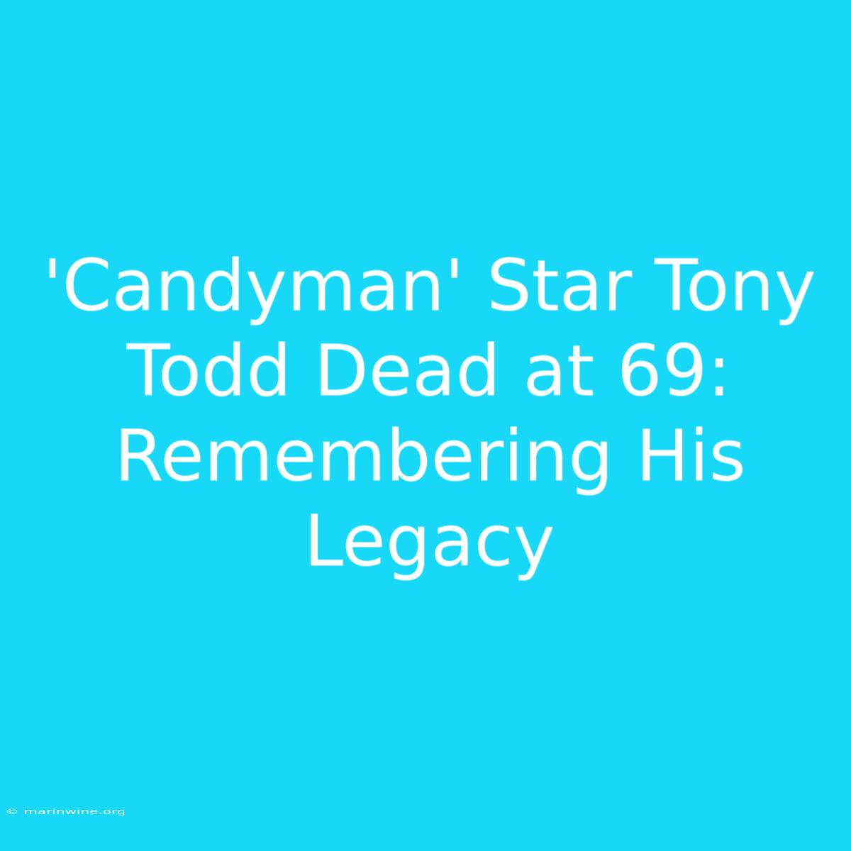 'Candyman' Star Tony Todd Dead At 69: Remembering His Legacy 