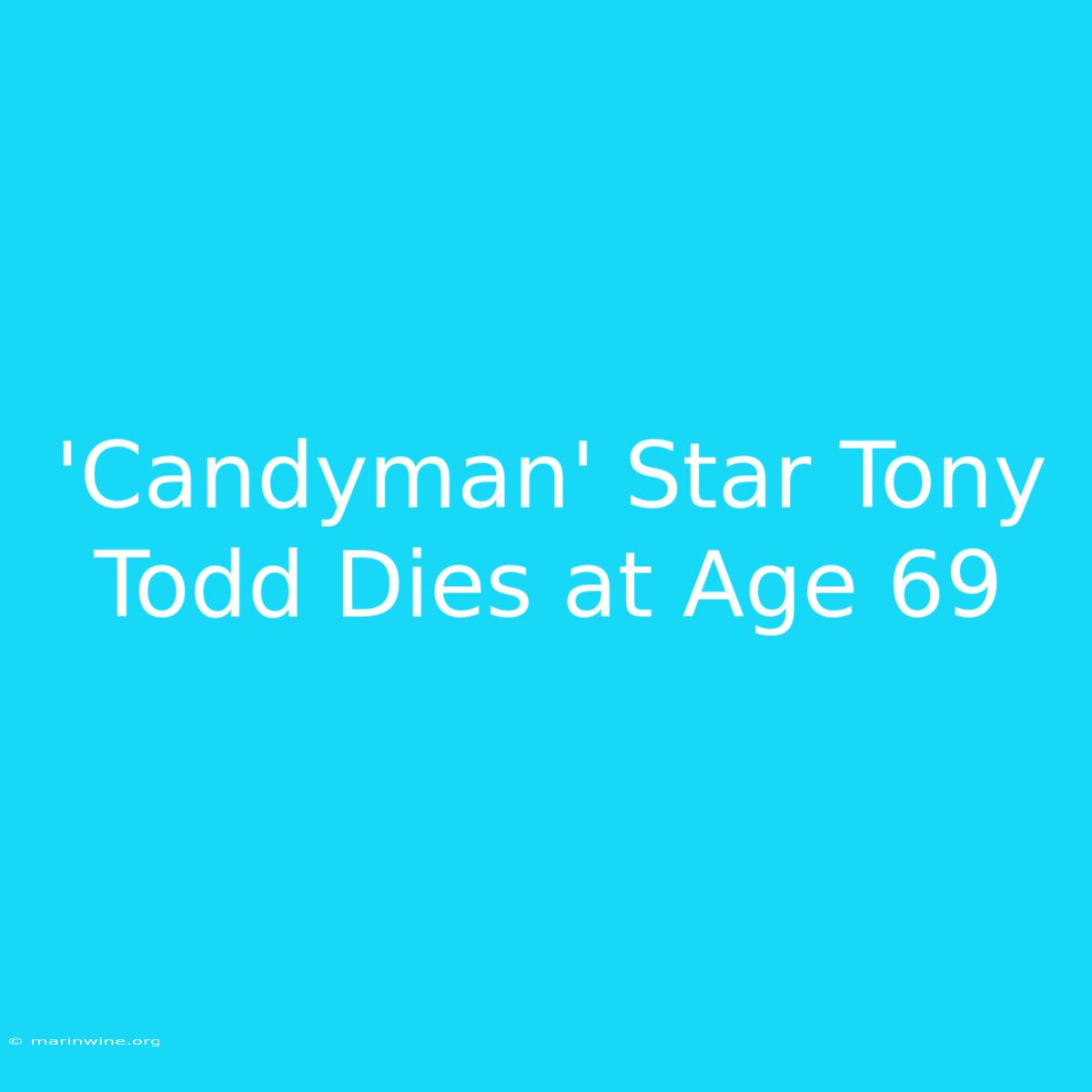 'Candyman' Star Tony Todd Dies At Age 69 