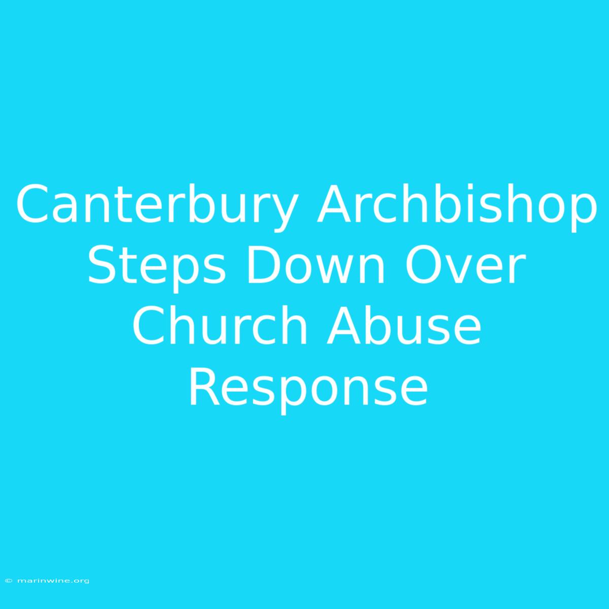 Canterbury Archbishop Steps Down Over Church Abuse Response 