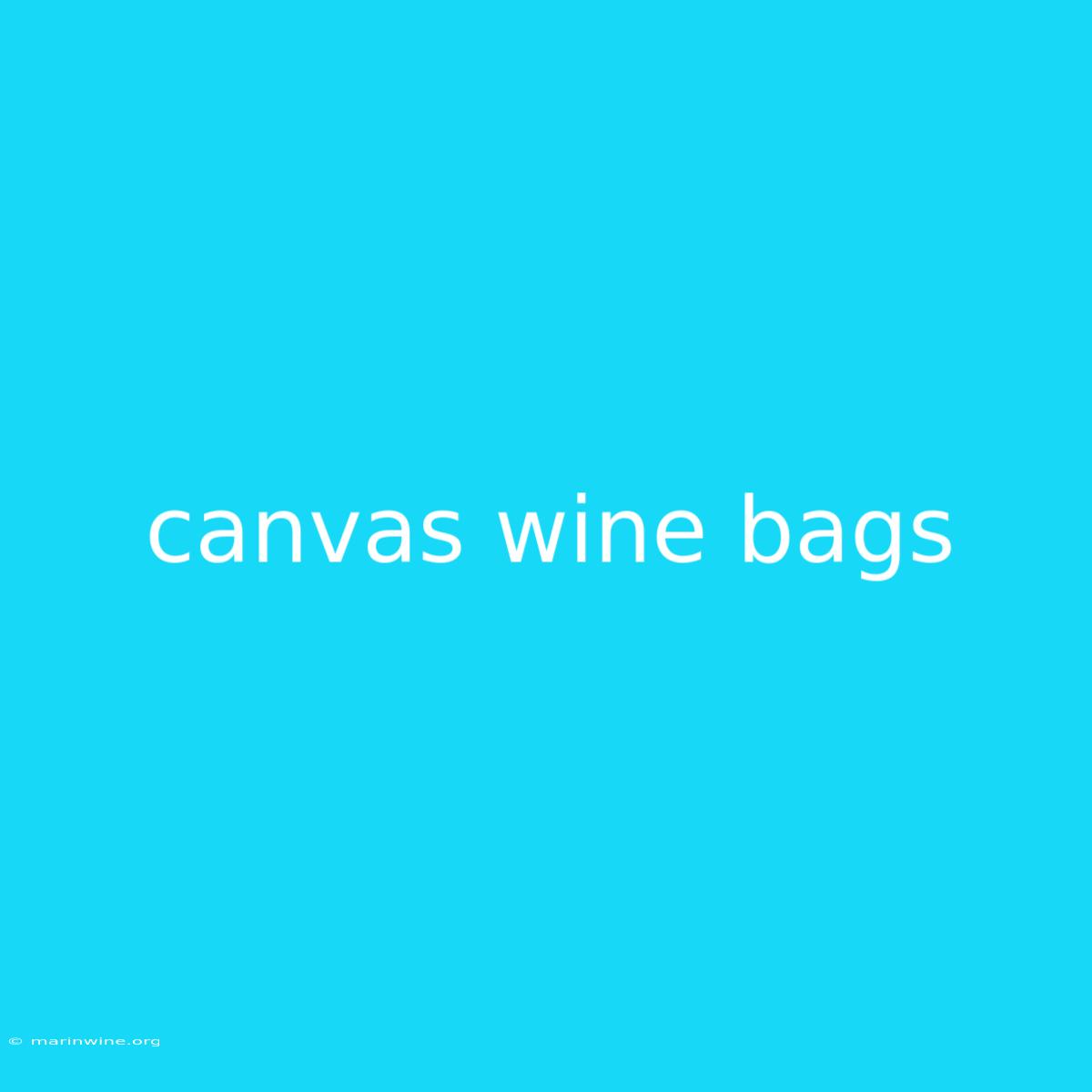 Canvas Wine Bags