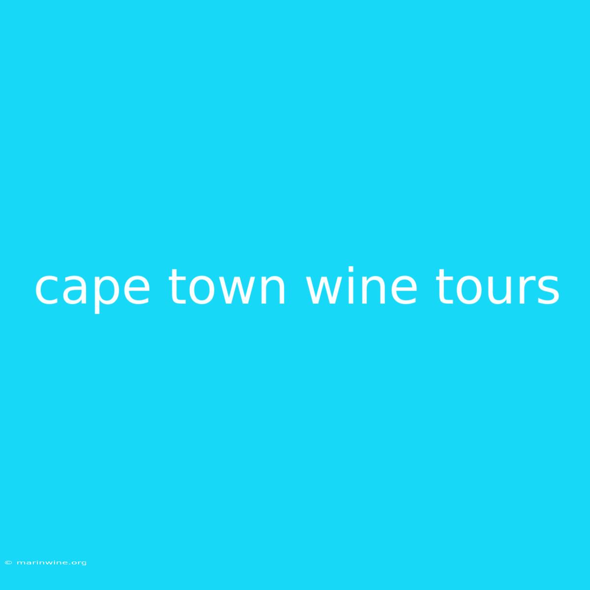 Cape Town Wine Tours