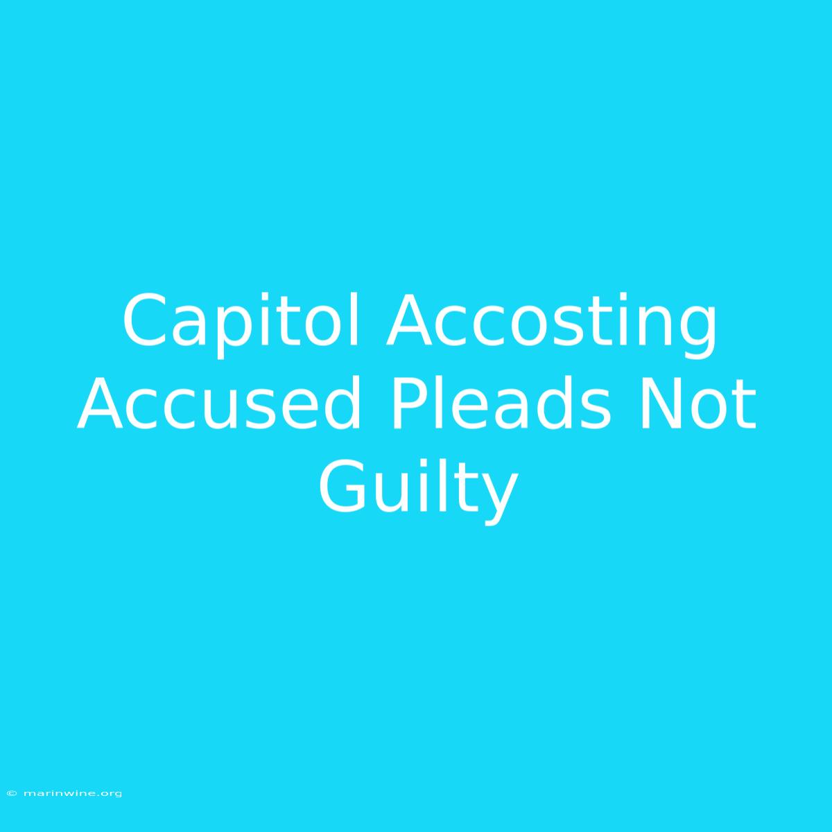 Capitol Accosting Accused Pleads Not Guilty