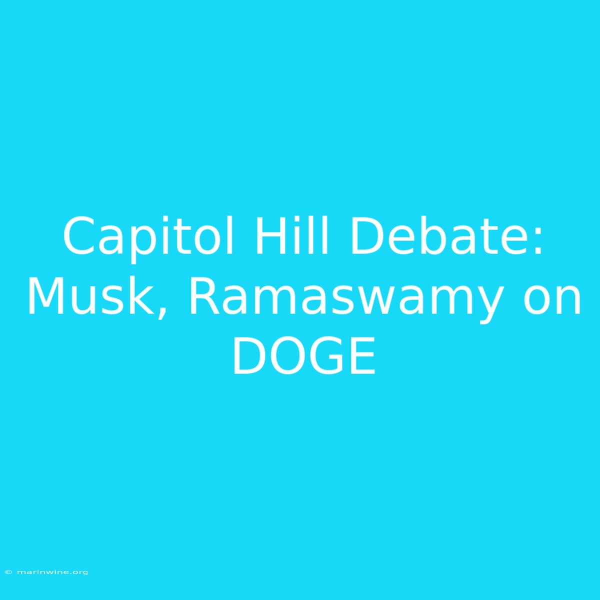 Capitol Hill Debate: Musk, Ramaswamy On DOGE