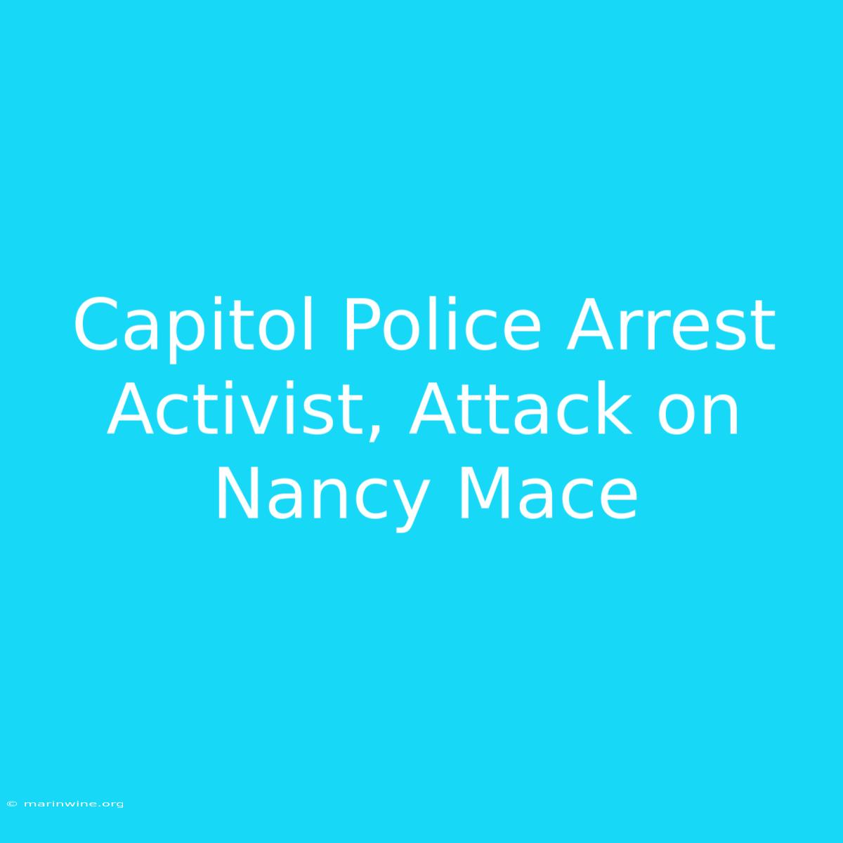 Capitol Police Arrest Activist, Attack On Nancy Mace