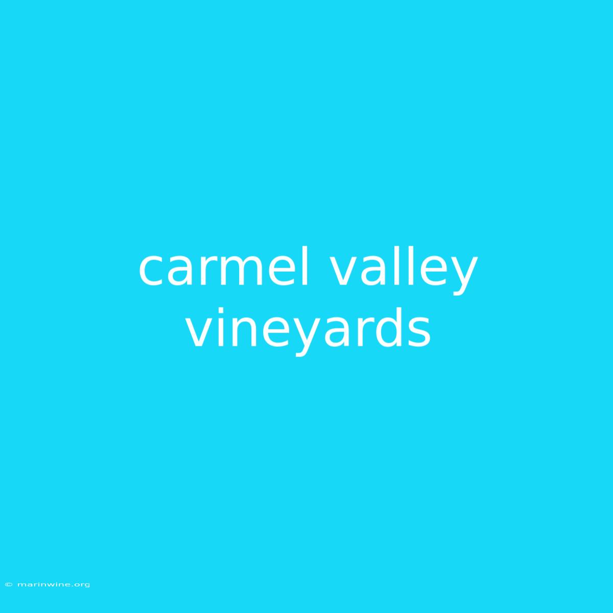 Carmel Valley Vineyards