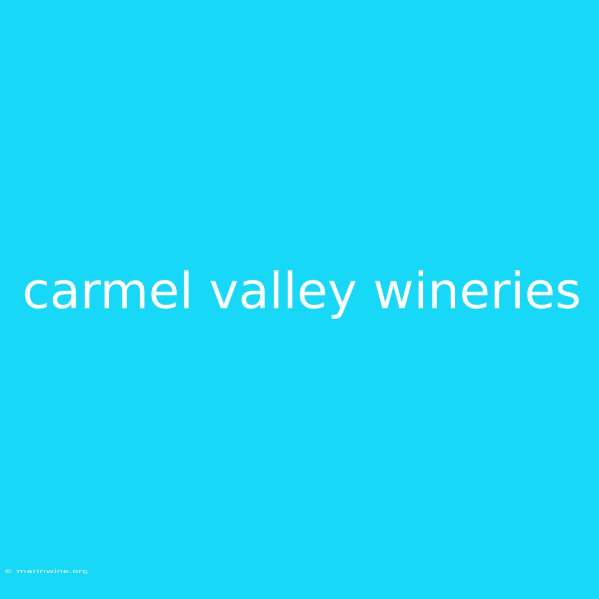 Carmel Valley Wineries