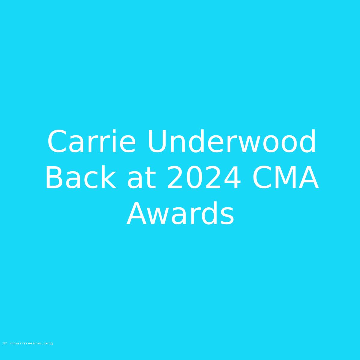 Carrie Underwood Back At 2024 CMA Awards