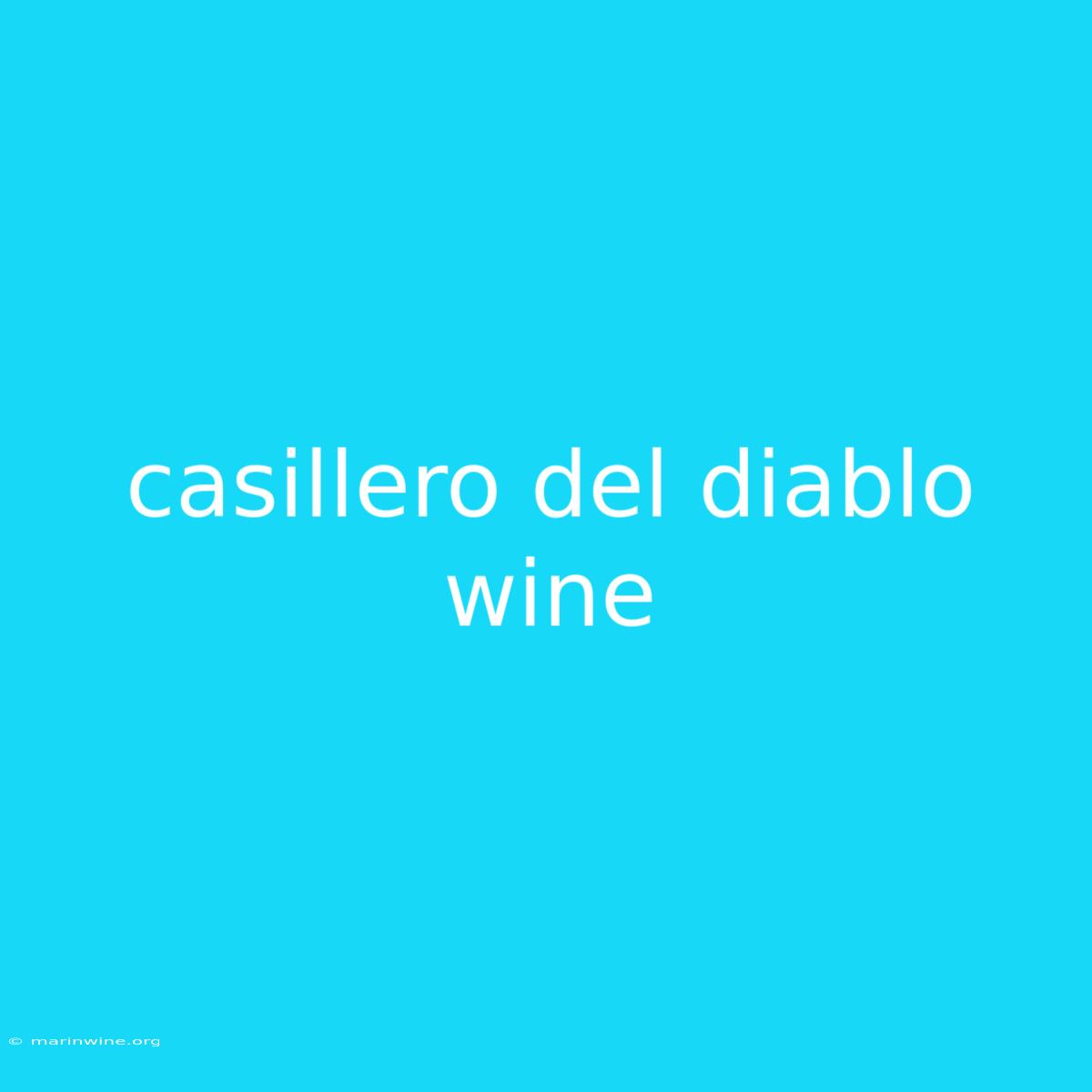 Casillero Del Diablo Wine