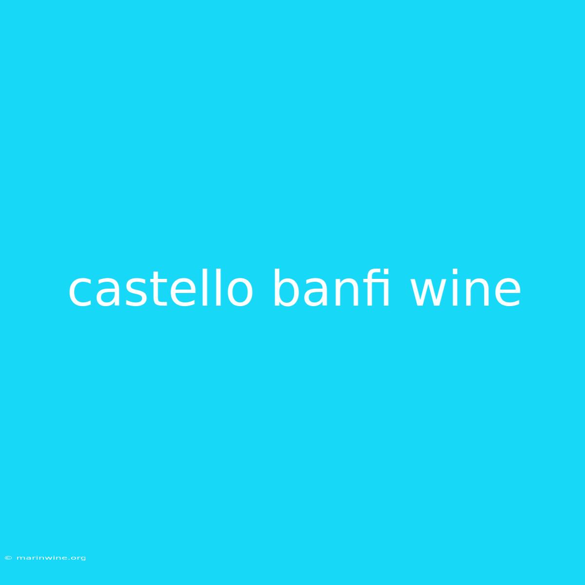 Castello Banfi Wine