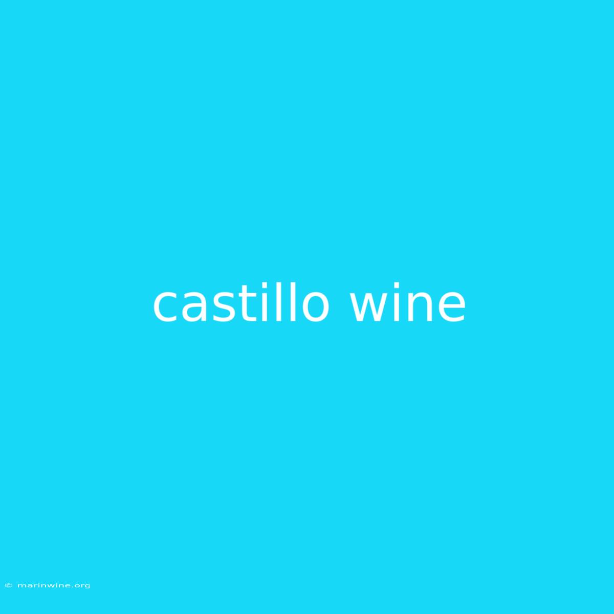 Castillo Wine