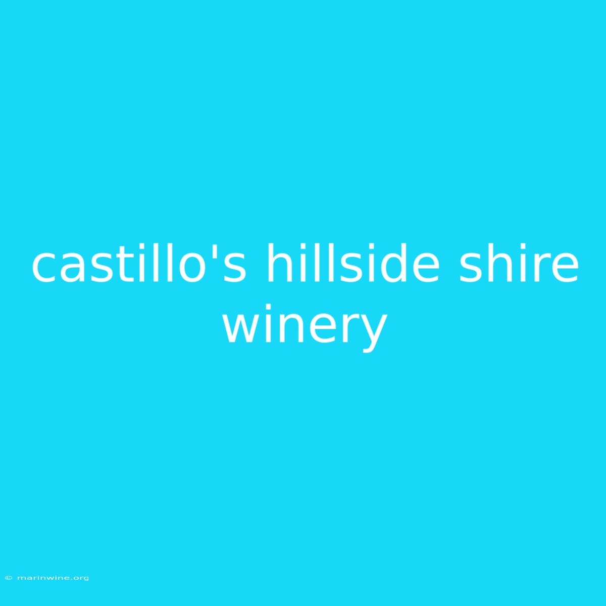 Castillo's Hillside Shire Winery