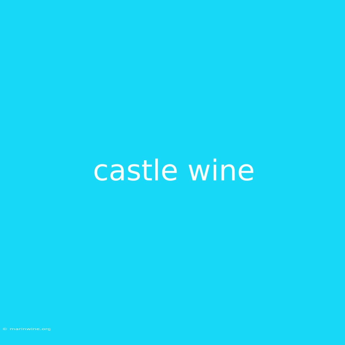 Castle Wine