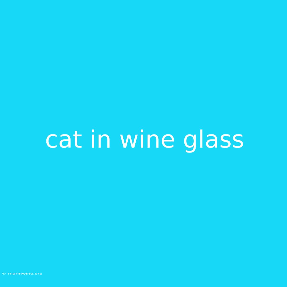 Cat In Wine Glass