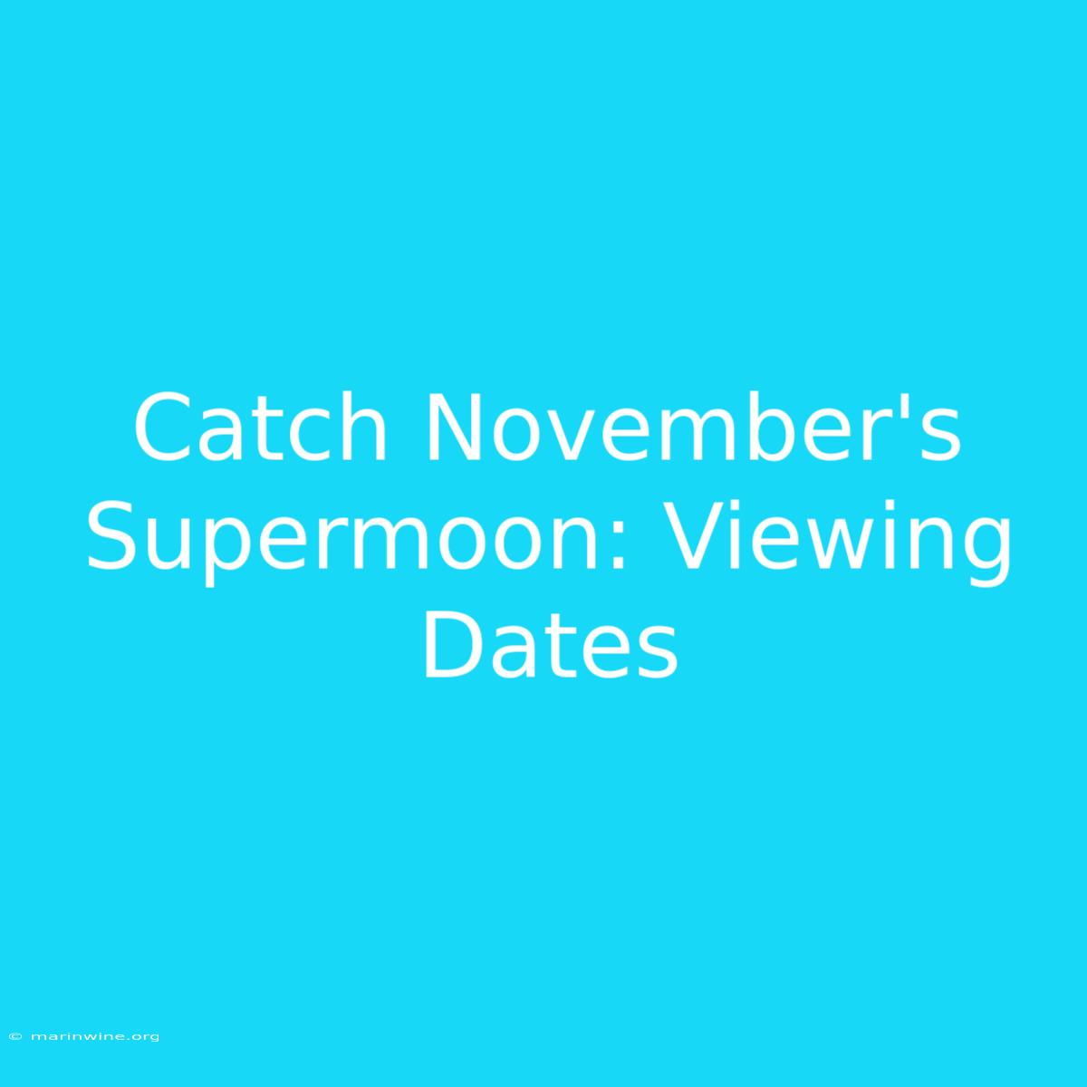 Catch November's Supermoon: Viewing Dates 