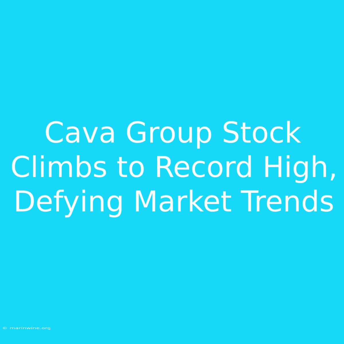 Cava Group Stock Climbs To Record High, Defying Market Trends 