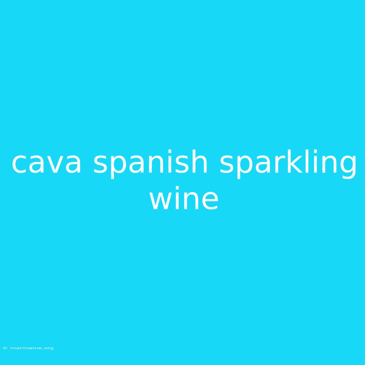 Cava Spanish Sparkling Wine