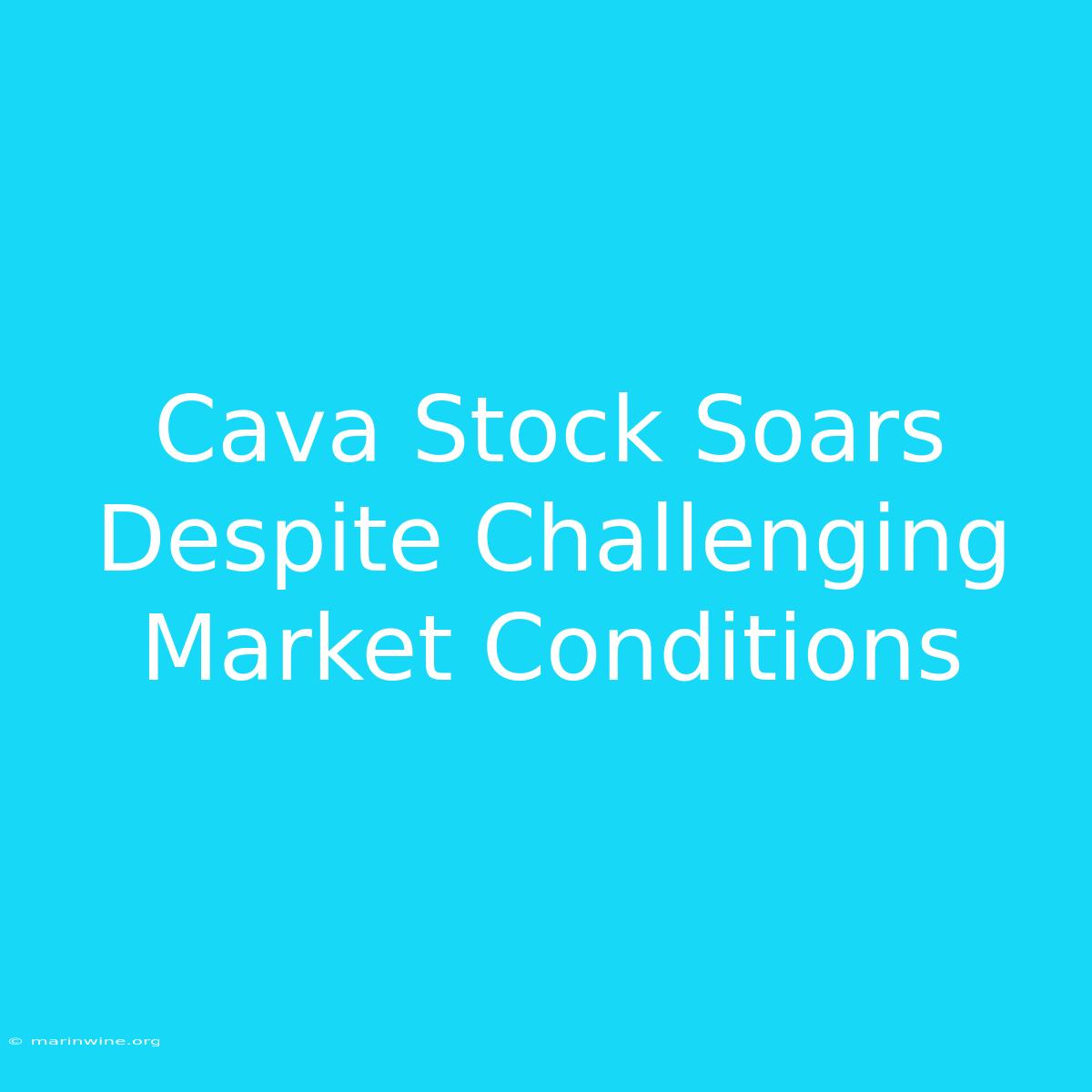 Cava Stock Soars Despite Challenging Market Conditions 