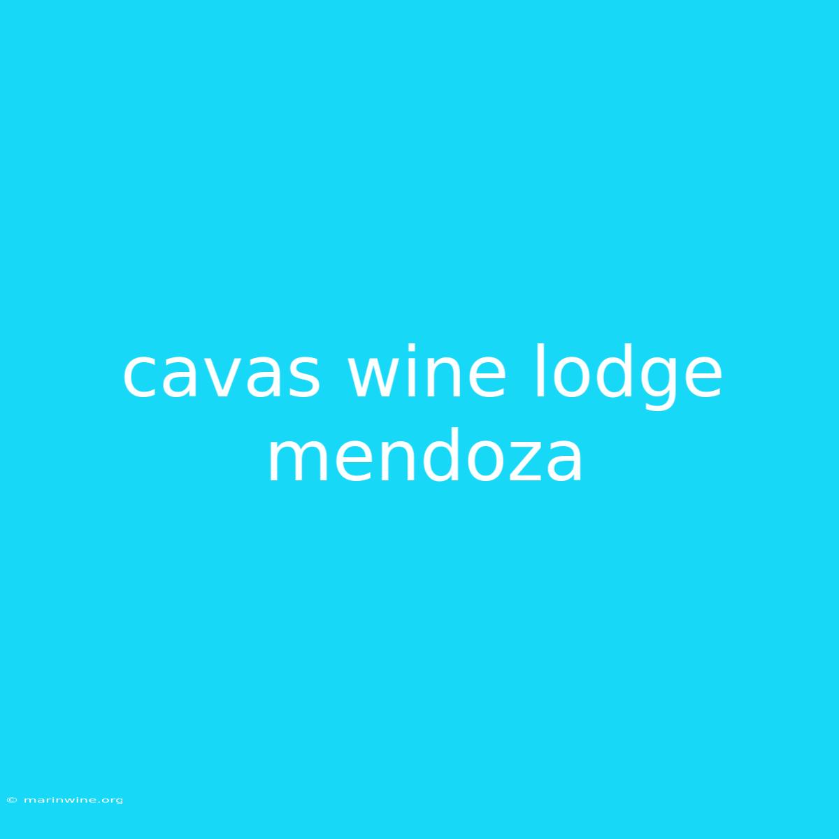 Cavas Wine Lodge Mendoza