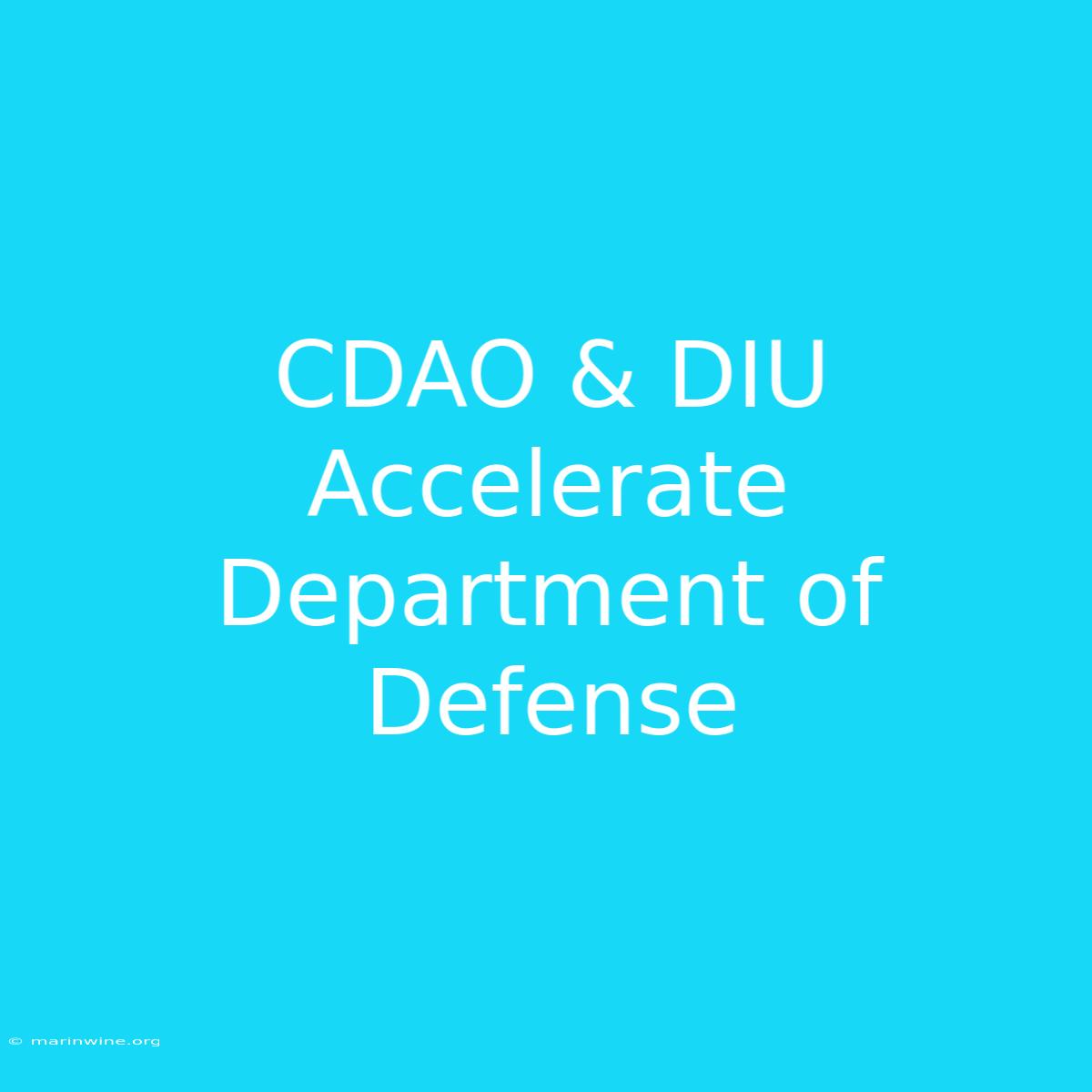 CDAO & DIU Accelerate Department Of Defense