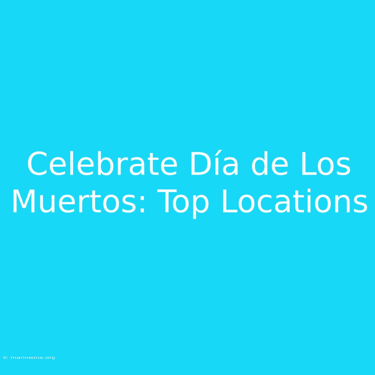 Celebrate Día De Los Muertos: Top Locations 