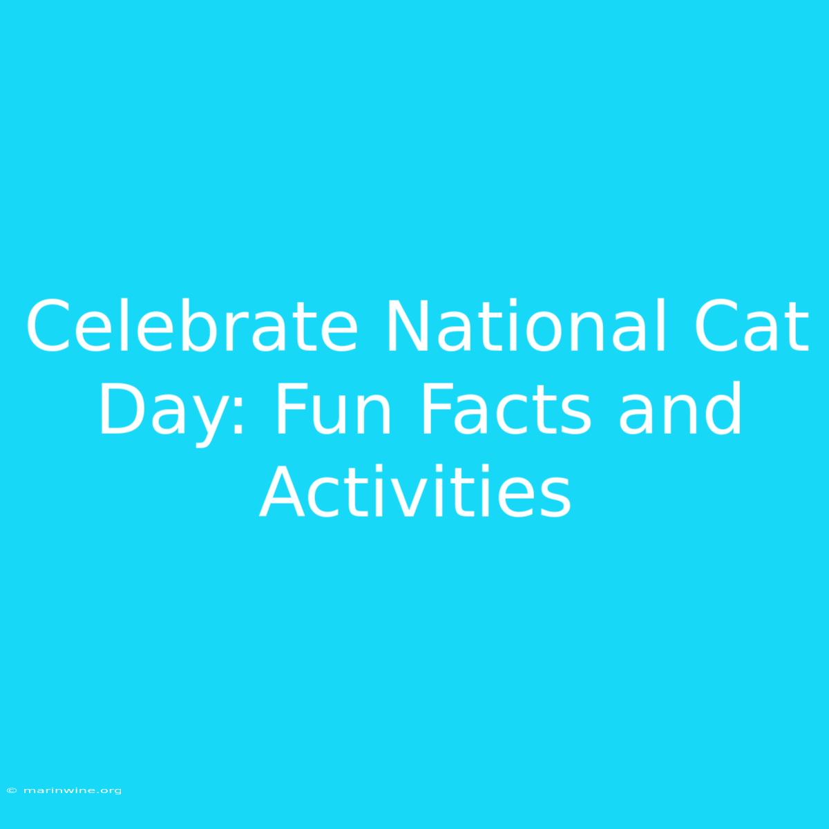 Celebrate National Cat Day: Fun Facts And Activities