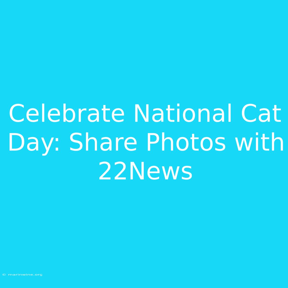 Celebrate National Cat Day: Share Photos With 22News