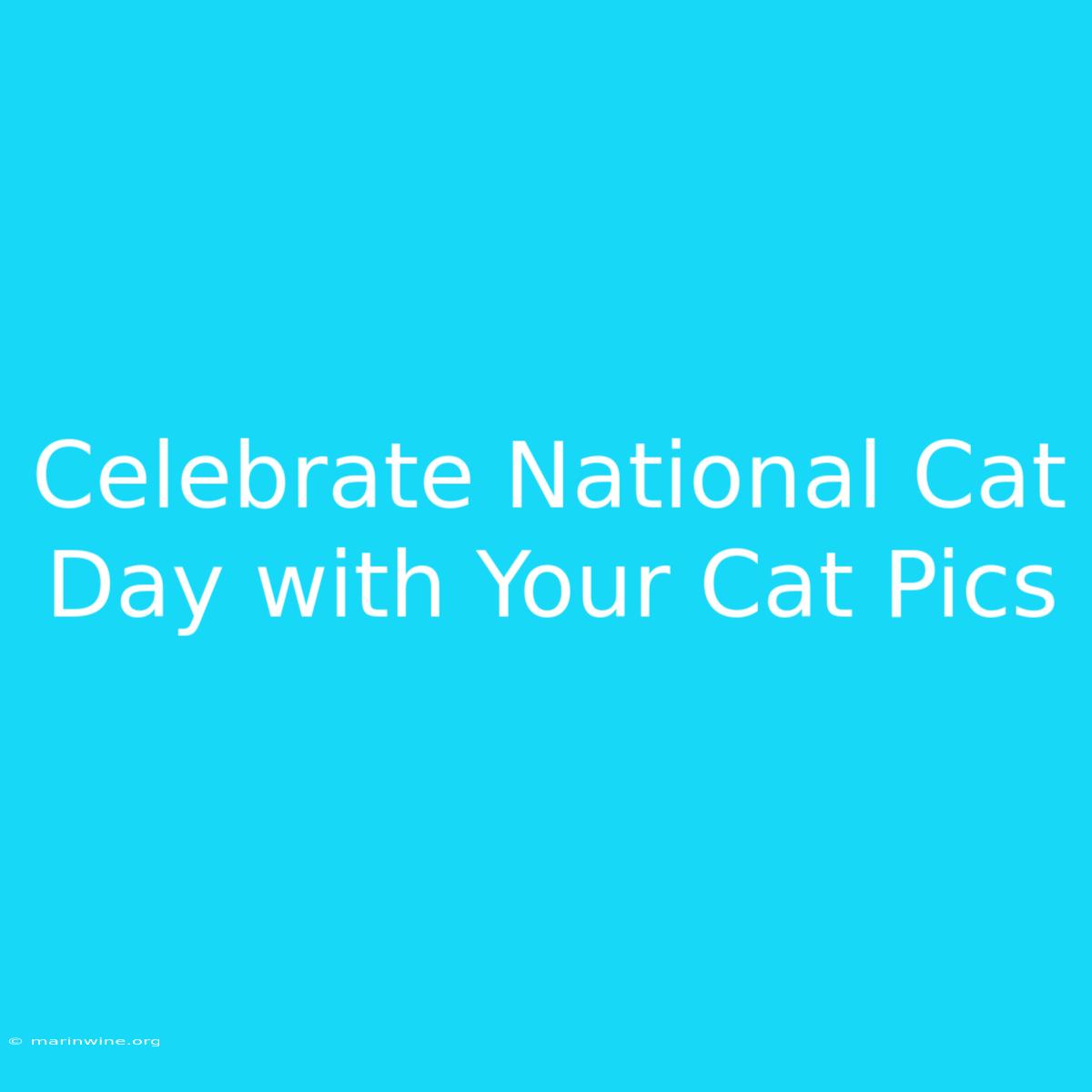 Celebrate National Cat Day With Your Cat Pics