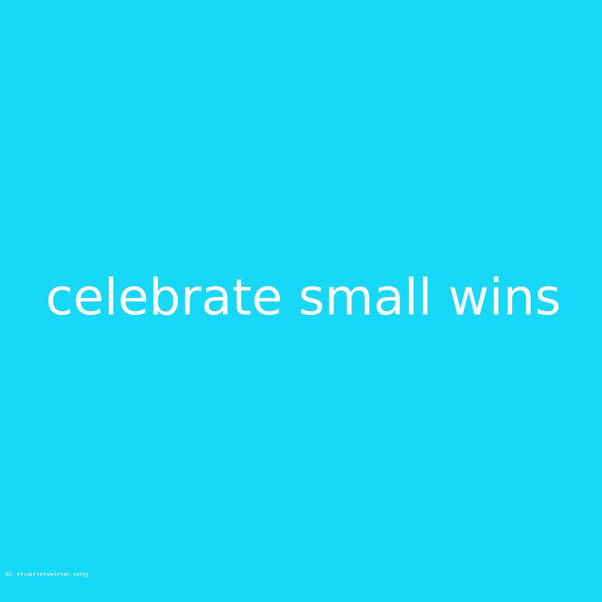 Celebrate Small Wins