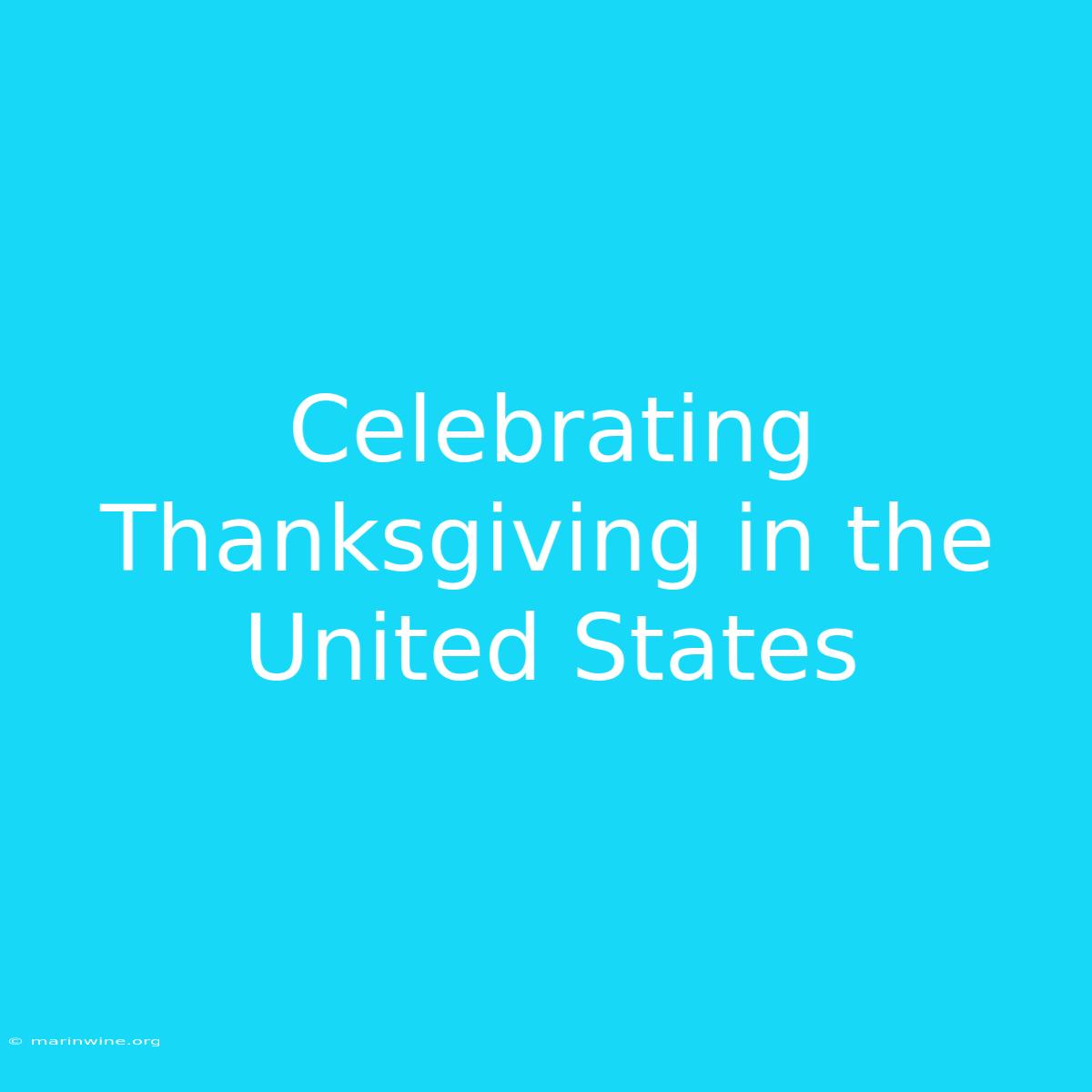 Celebrating Thanksgiving In The United States