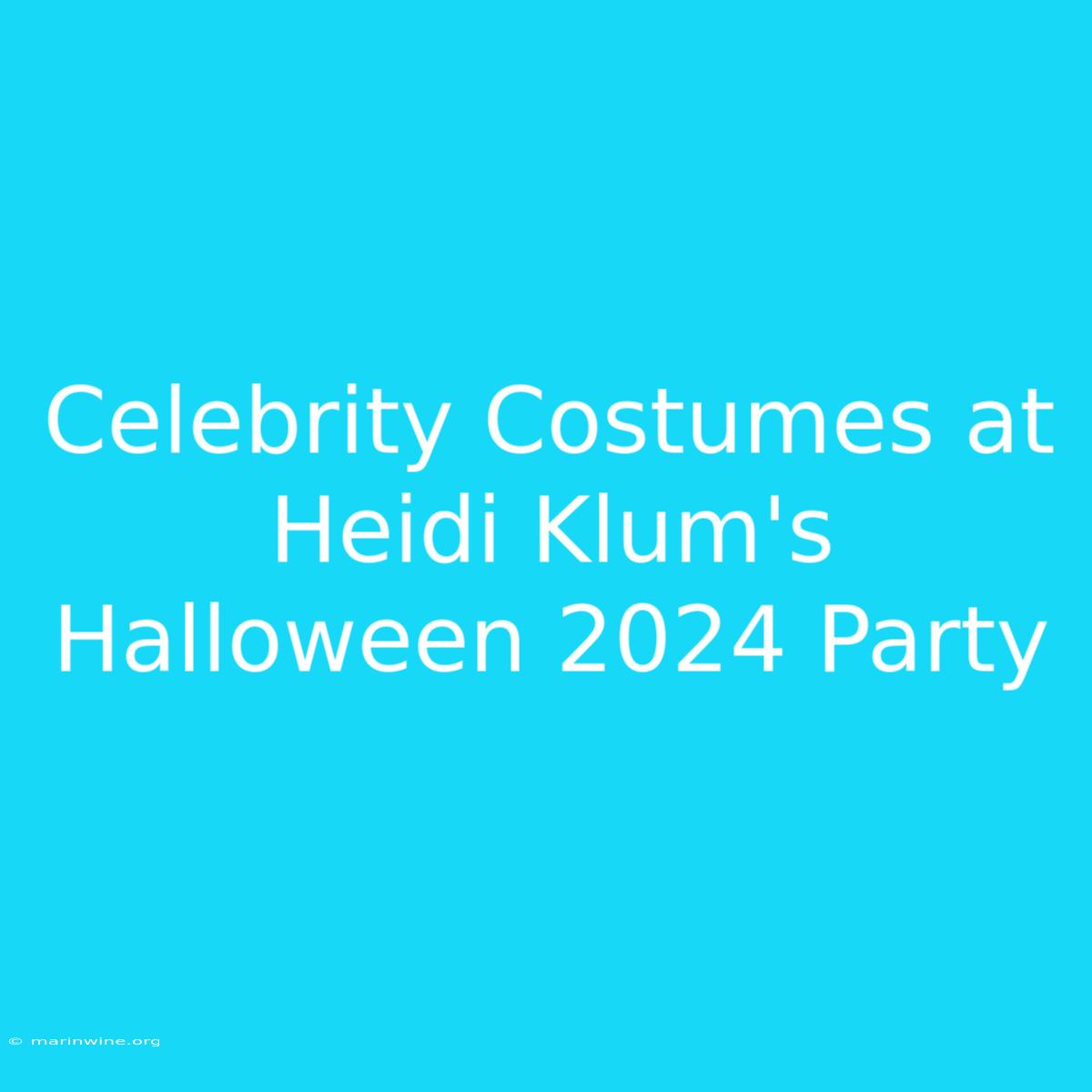 Celebrity Costumes At Heidi Klum's Halloween 2024 Party 