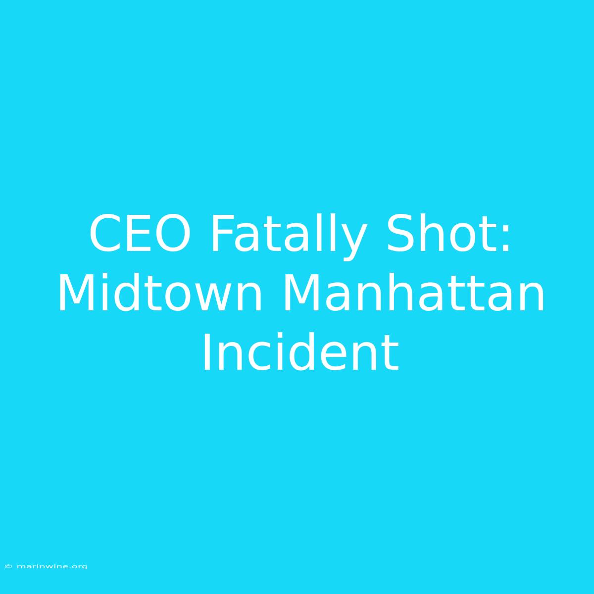 CEO Fatally Shot: Midtown Manhattan Incident