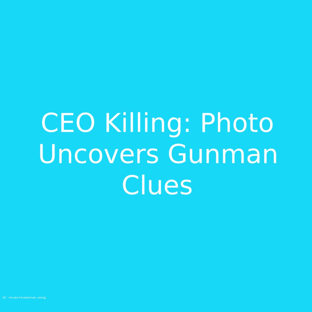 CEO Killing: Photo Uncovers Gunman Clues