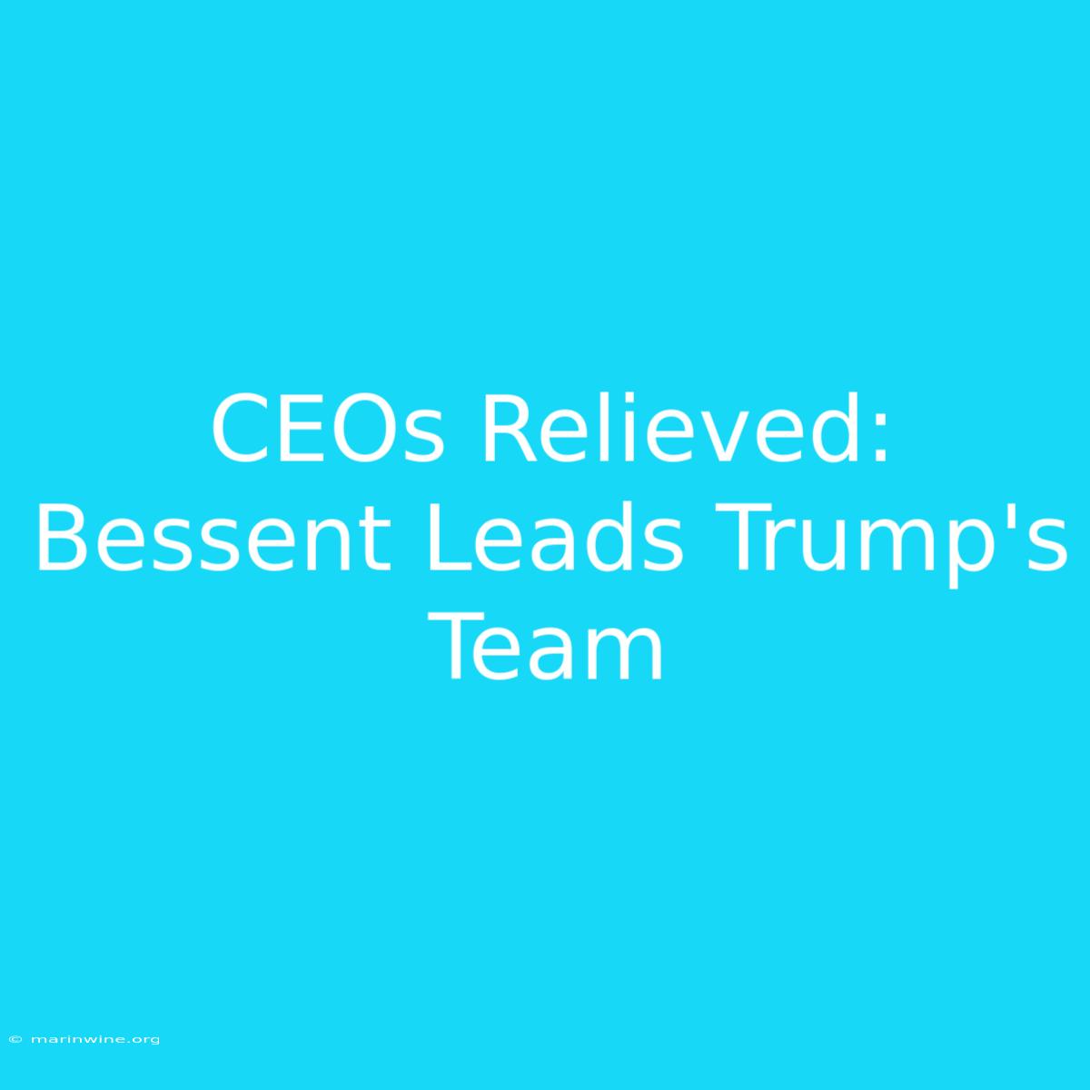 CEOs Relieved: Bessent Leads Trump's Team