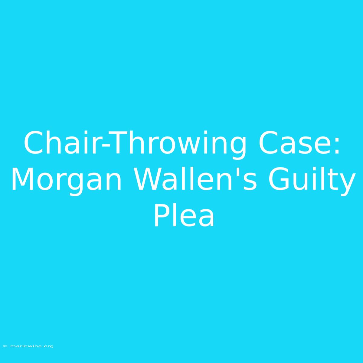 Chair-Throwing Case: Morgan Wallen's Guilty Plea