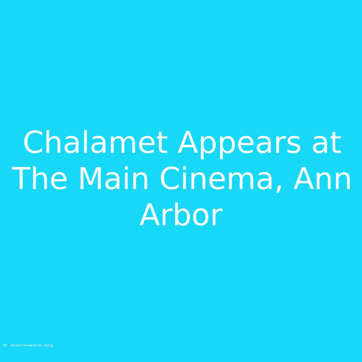 Chalamet Appears At The Main Cinema, Ann Arbor