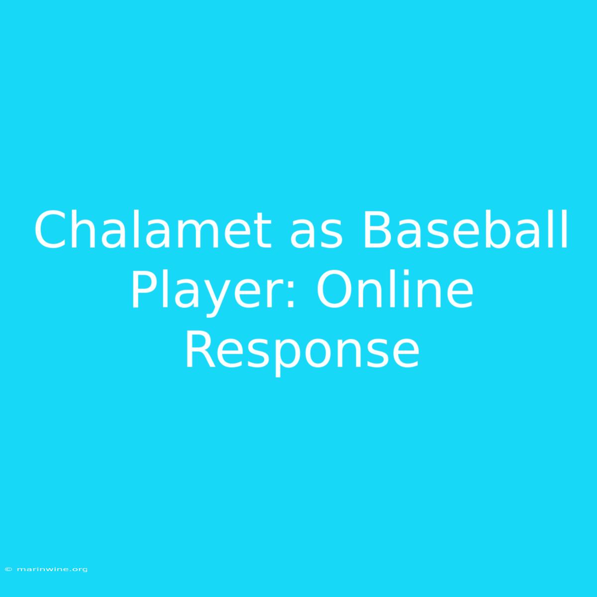 Chalamet As Baseball Player: Online Response