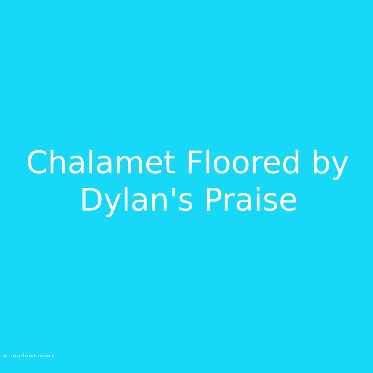 Chalamet Floored By Dylan's Praise