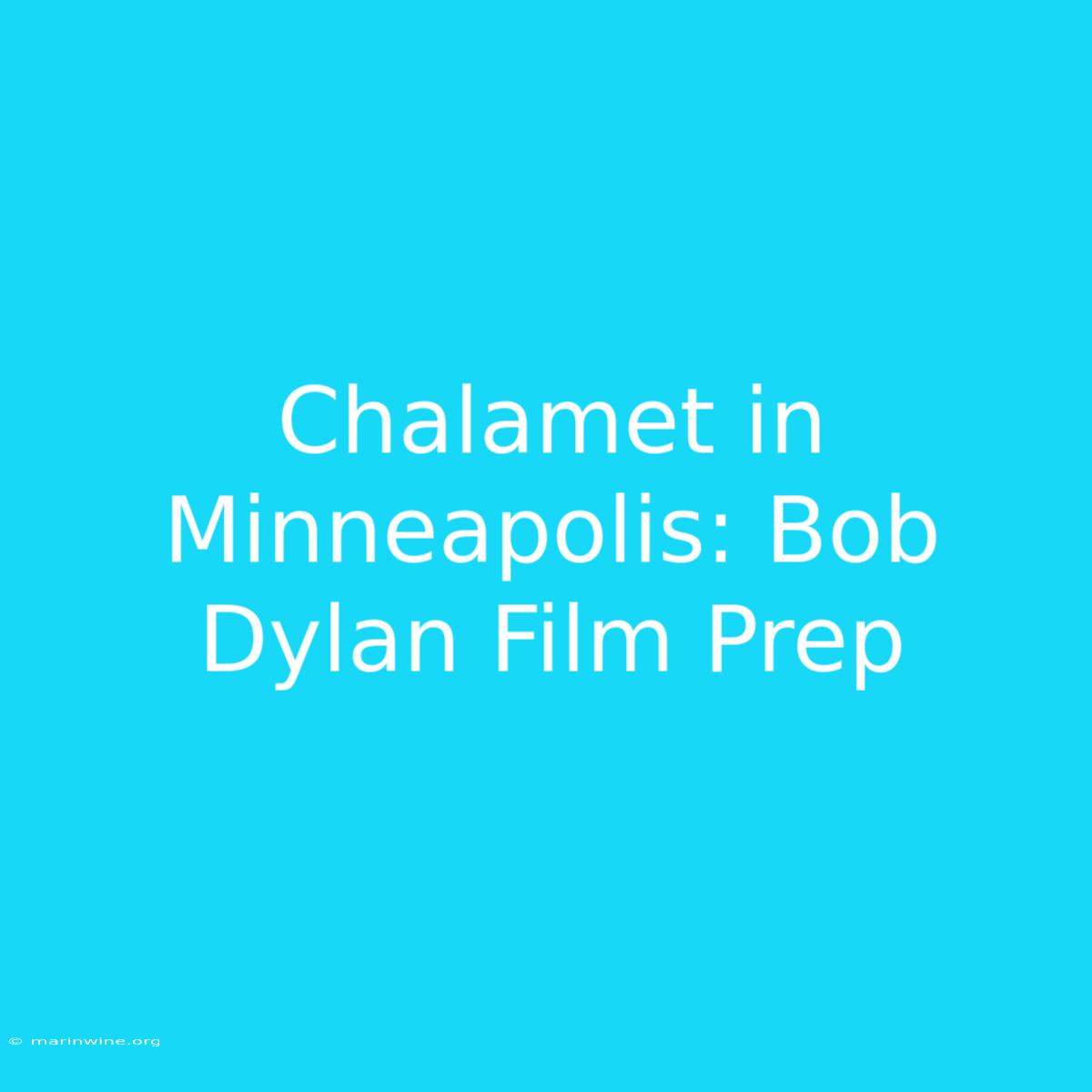 Chalamet In Minneapolis: Bob Dylan Film Prep