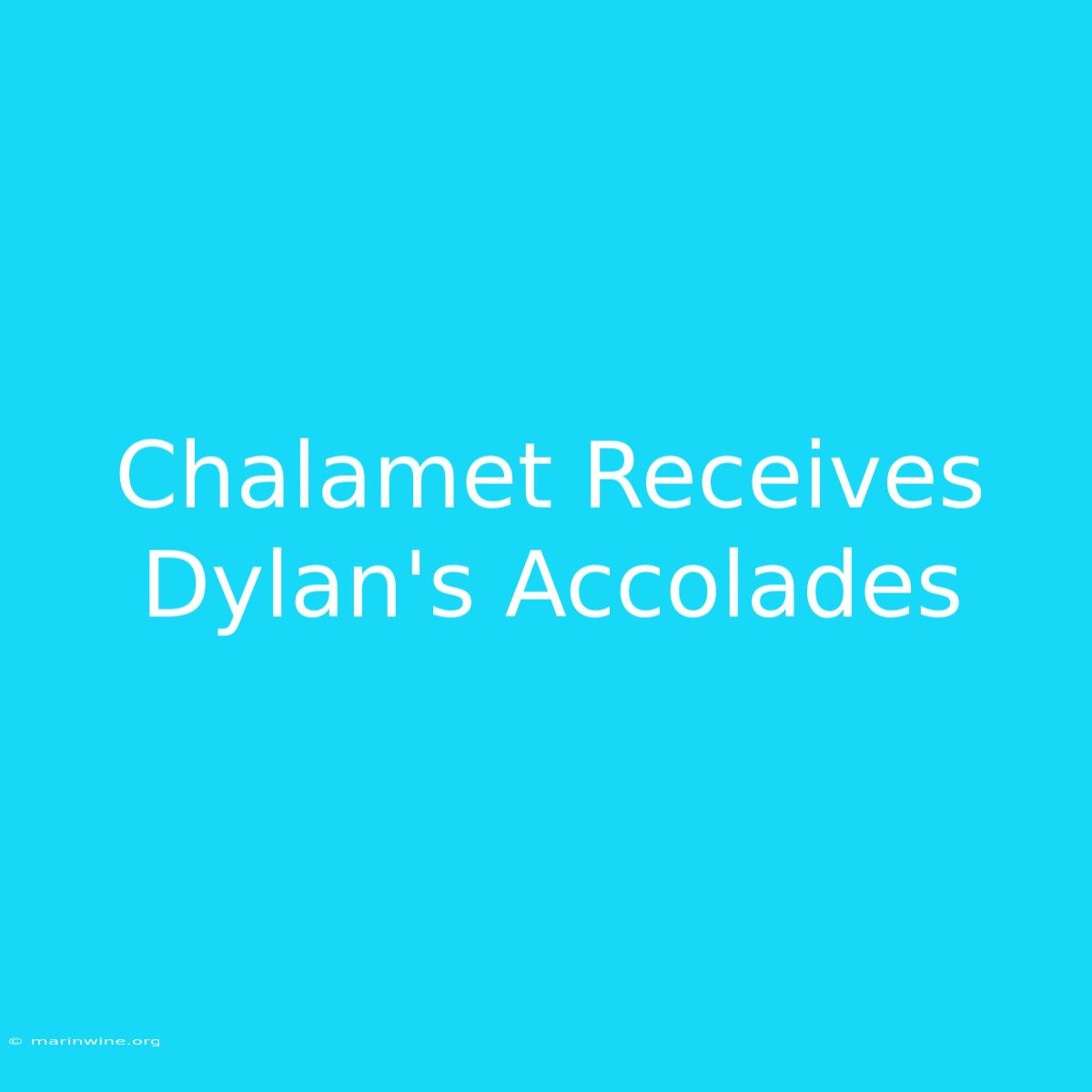 Chalamet Receives Dylan's Accolades