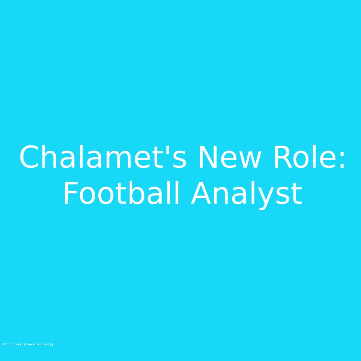 Chalamet's New Role: Football Analyst