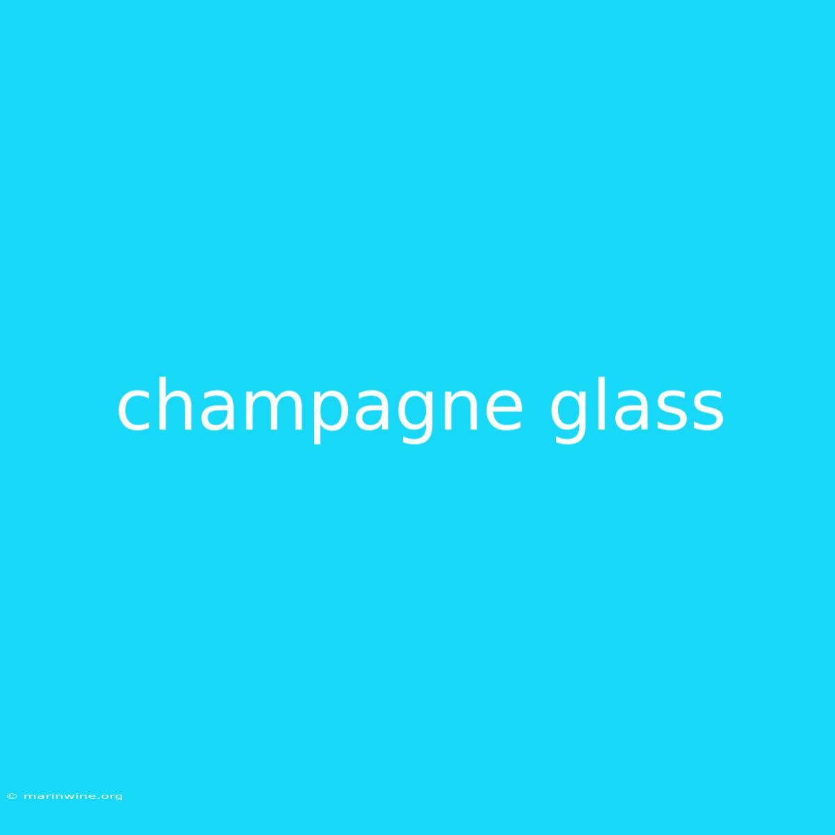 Champagne Glass