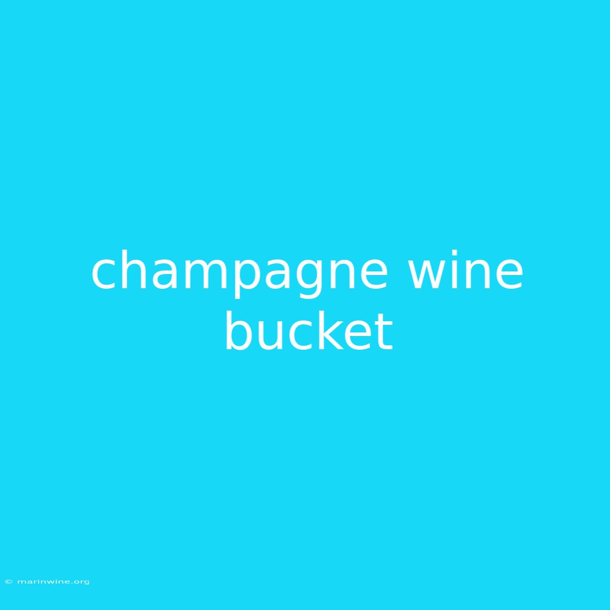 Champagne Wine Bucket