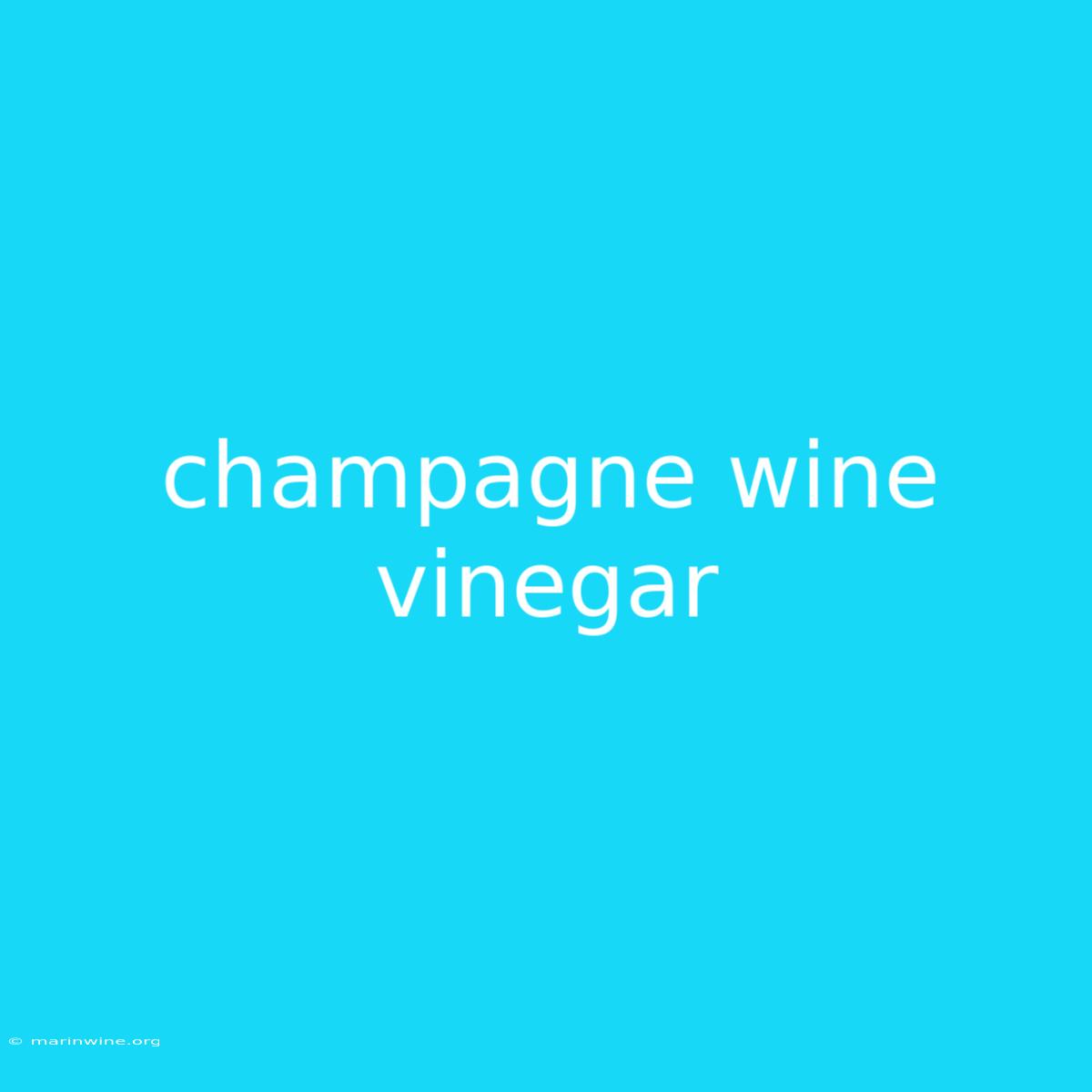 Champagne Wine Vinegar